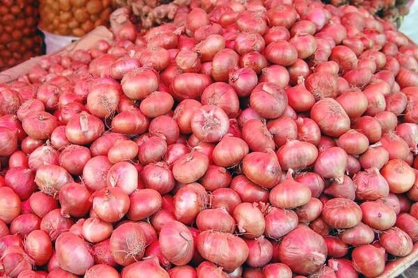 Importers looking for alternative markets of onions prices rise